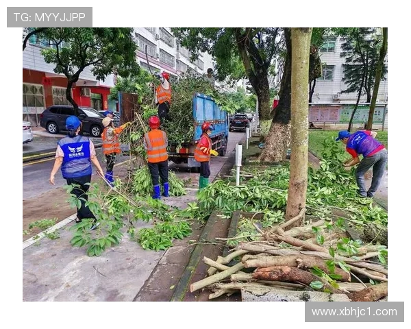 澳门救灾现场直播：直击台风中的救援力量